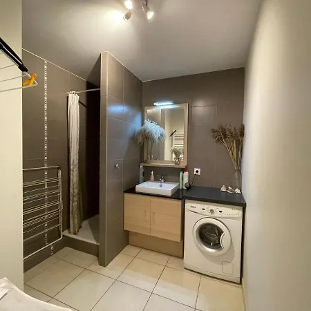 Proche Gare Europole Terrasse Sud Cea Minatec Apartment Grenoble