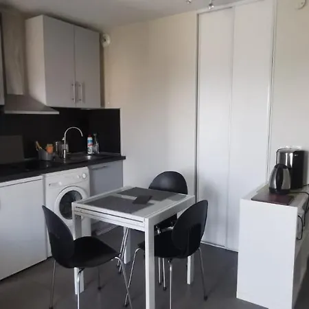 Proche Gare Europole Terrasse Sud Cea Minatec Apartment *